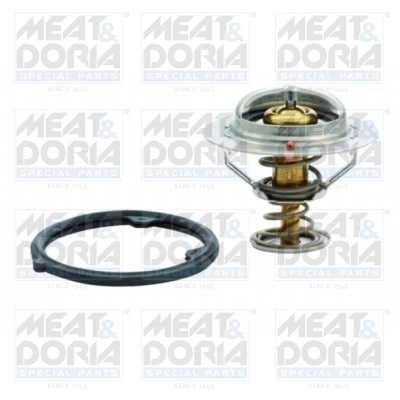 Thermostat, coolant